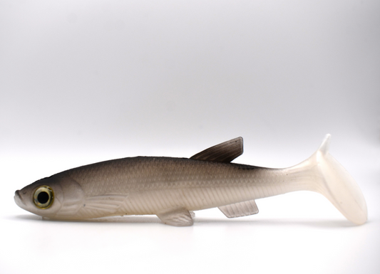 TRENDEX® Minnow Farbe 01