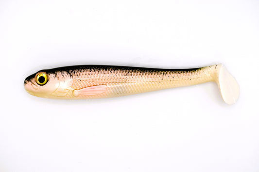 TRENDEX® Swimbait Farbe 01