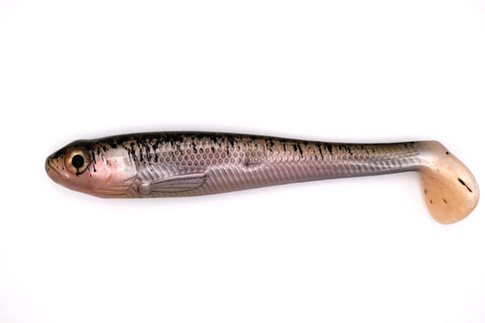 TRENDEX® Swimbait Farbe 03 (neues Dekor)